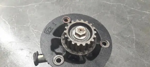 Nissan Primera Vacuum pump 146502J601