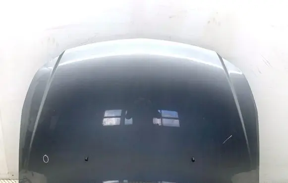 Fiat Sedici Engine bonnet/hood 