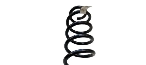 Ford Escape IV Rear coil spring LX615560 LX615560NAD L53212021