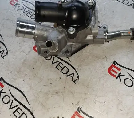 Thermostat/thermostat housing