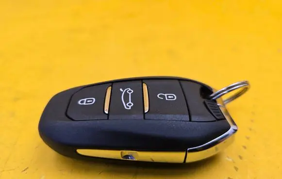 Peugeot 308 Ignition key/card 9842119480