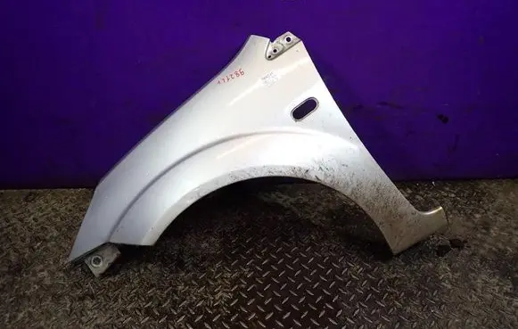 Ford Fiesta Fender 