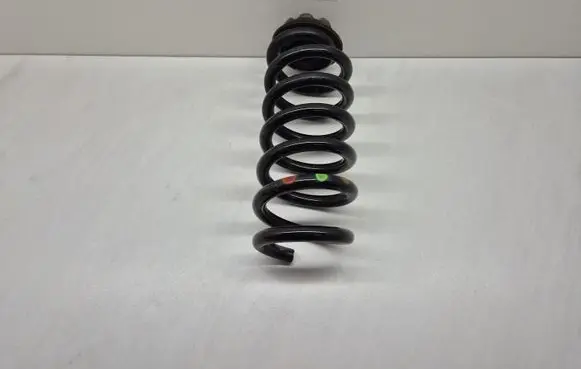 Renault Captur II Rear coil spring 