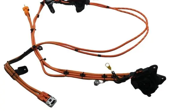 Volkswagen Tayron II Wiring harness 57L971531