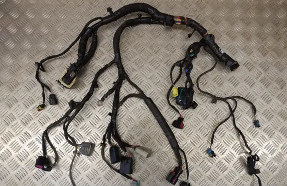 Tesla Model S Other wiring loom