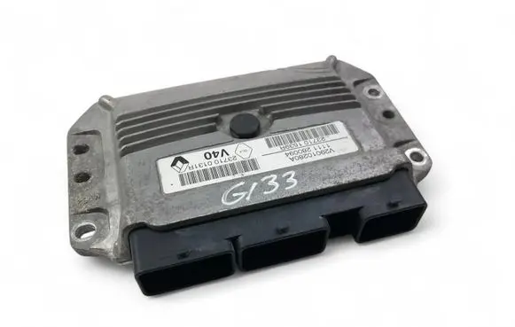 Engine control unit/module ECU