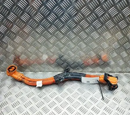 Audi E-tron GT Other wiring loom 9J1971131A