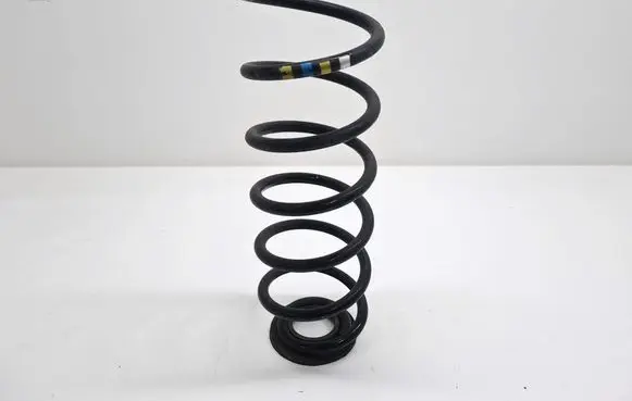 Rear coil spring