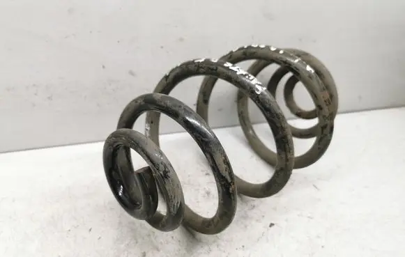 Rear coil spring