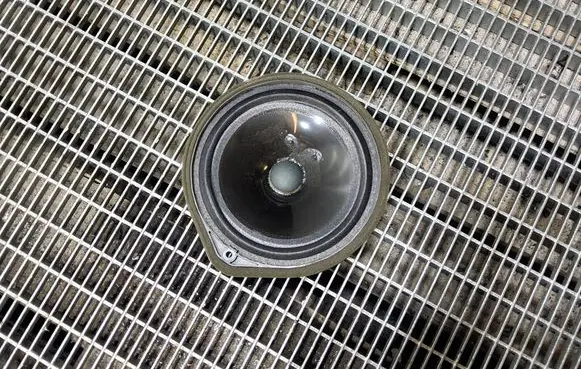 Honda Odyssey Rear door speaker