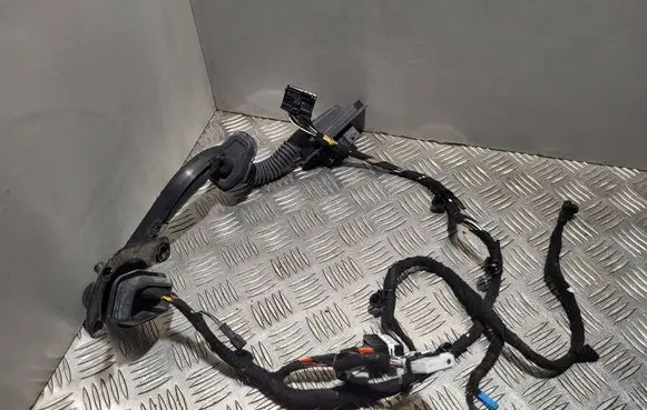 BMW 7 E65 E66 Rear door wiring loom 6918763 ESP33SE 641382301035