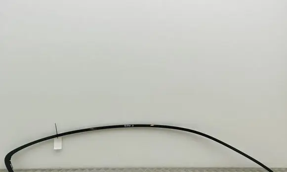 BMW 6 F06 Gran coupe Roof trim bar molding cover 7291924