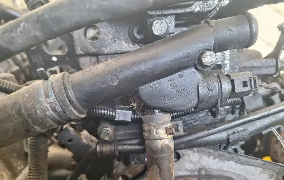Seat Leon (1M) Engine coolant pipe/hose 038121133