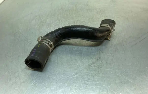 Toyota Prius (XW50) Engine coolant pipe/hose