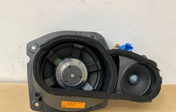Mercedes-Benz CL C216 Front door speaker A2168201902