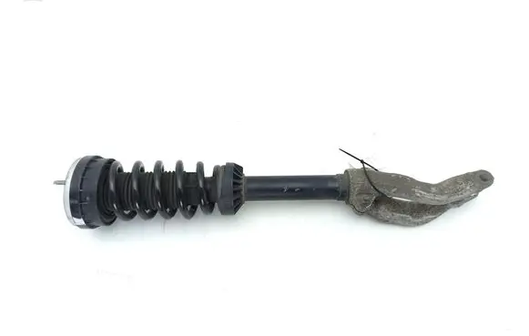 Jaguar F-Pace Front shock absorber with coil spring HK8318B036ME 160517112329 GX733463AC