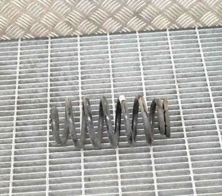 Opel Mokka Rear coil spring 95107103