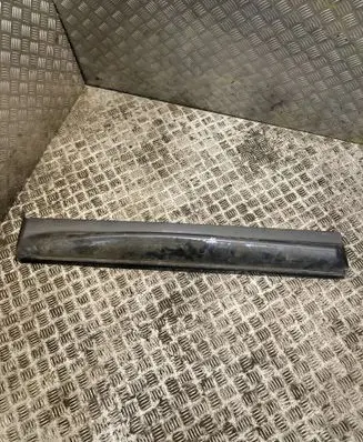 Land Rover Range Rover Sport L320 Front door trim (molding) DGP000211