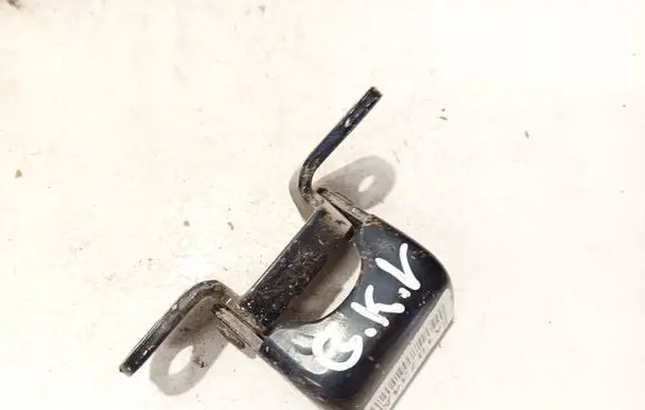 Rear door lower hinge