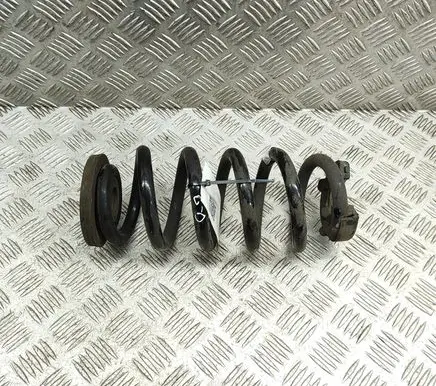 Volkswagen ID.4 Rear coil spring 1EA511103E