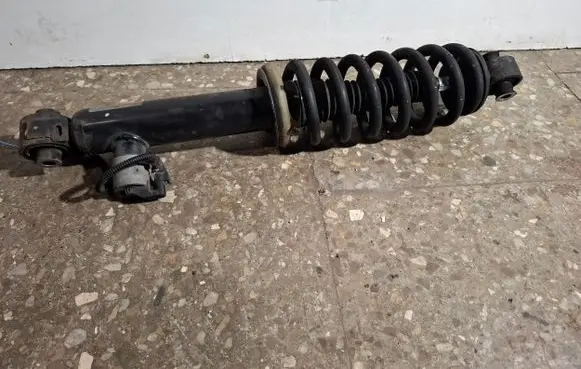Citroen DS7 Crossback Rear shock absorber/damper 9835005280