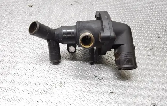 Thermostat/thermostat housing