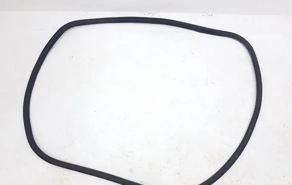 Ford Edge II Front door rubber seal