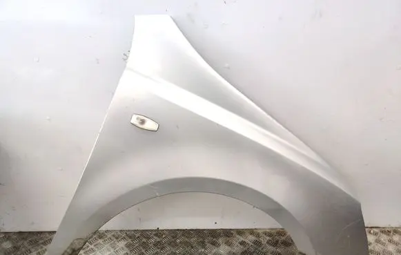 KIA Carnival Fender