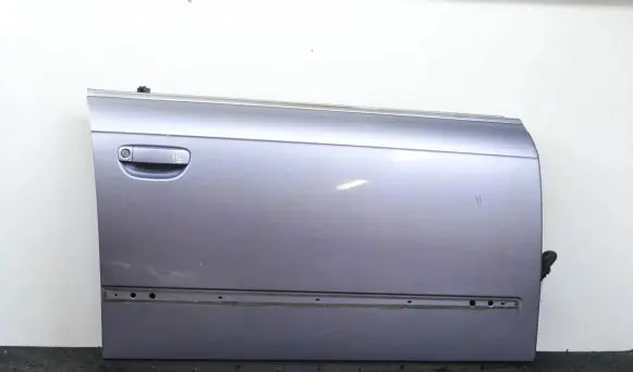 Audi A4 S4 B7 8E 8H Front door