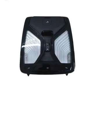 BMW X3 G01 Front seat light 7945158 28599344