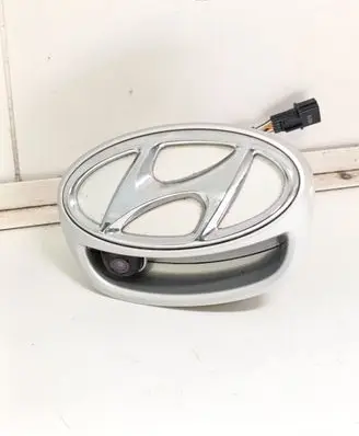 Reversing camera