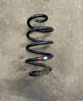 Rear coil spring