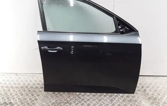 Skoda Fabia Mk3 (NJ) Front door 6V0831056A COLORF6
