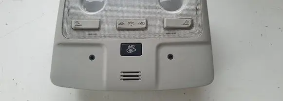 Toyota RAV 4 (XA40) Front seat light