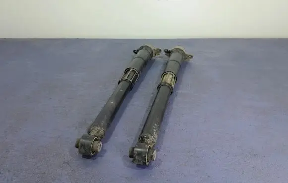 Skoda Kodiaq Rear shock absorber/damper 5Q0513425J