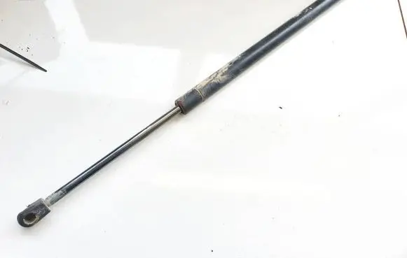 Chrysler Pacifica Tailgate/trunk strut/damper