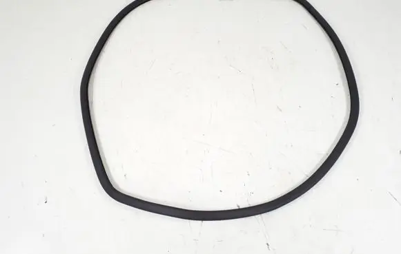 Volkswagen Phaeton Front door rubber seal 3D4867365M