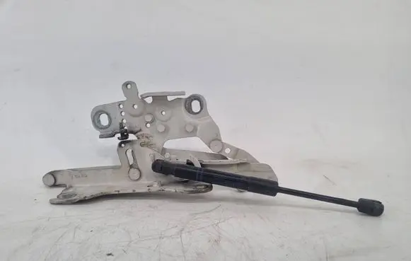 BMW 3 F30 F35 F31 Engine bonnet/hood hinges 7239415 13989610 172812