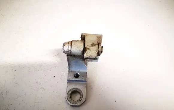 Rear door lower hinge
