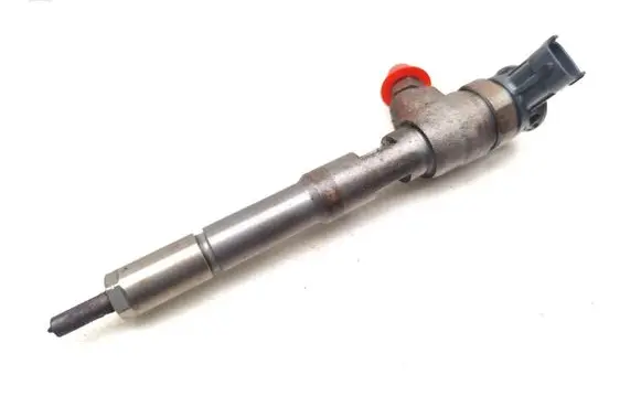 Renault Clio III Fuel injector H8201453073 0445110652