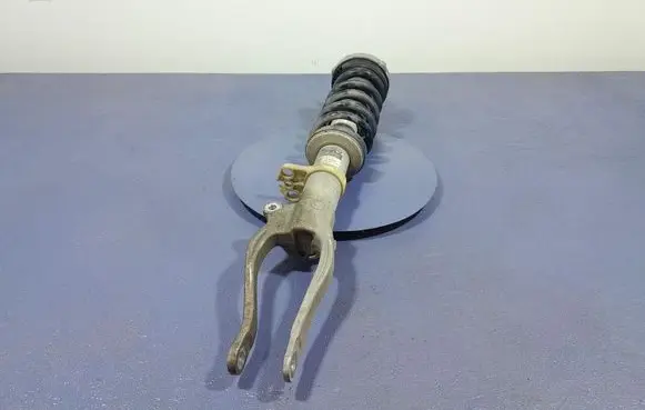 BMW M5 Front shock absorber/damper 7856894