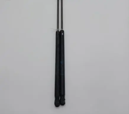 Tailgate/trunk strut/damper