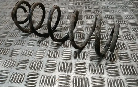 Rear coil spring