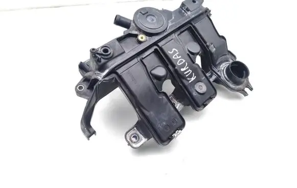 Renault Trafic III (X82) Intake manifold 118302761R
