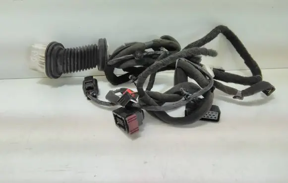 Front door wiring loom