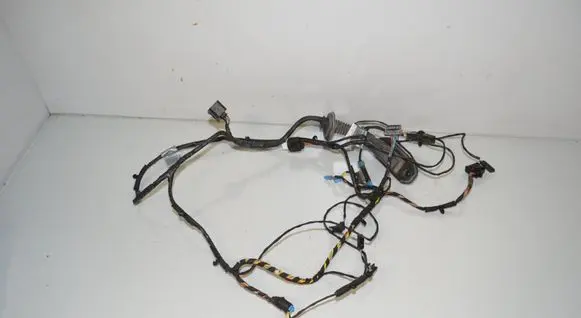 BMW X6 E71 Front door wiring loom 9203275 9203280 61129203280