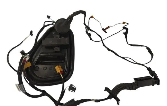 Rear door wiring loom