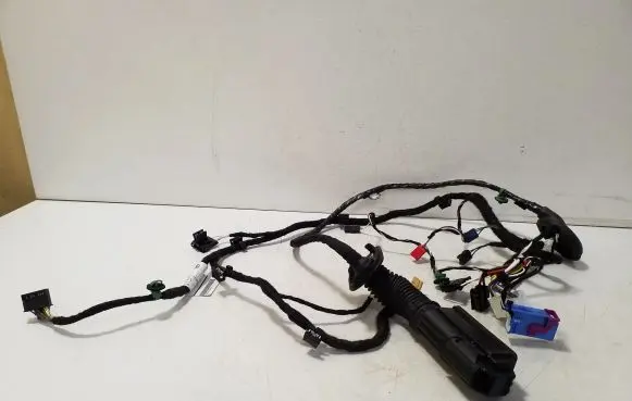 Volkswagen ID.4 Front door wiring loom TAB016130CS 11A959845A
