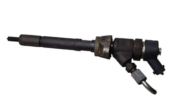 Renault Kangoo II Fuel injector 0445110250 328480