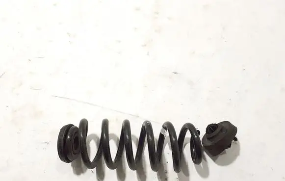 Audi A7 S7 4K8 Rear coil spring 4K0511115NL